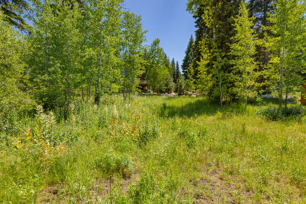 1340 Aspen Ridge Lane, Unit 120 McCall, ID 83638 - Photo 5 of 10