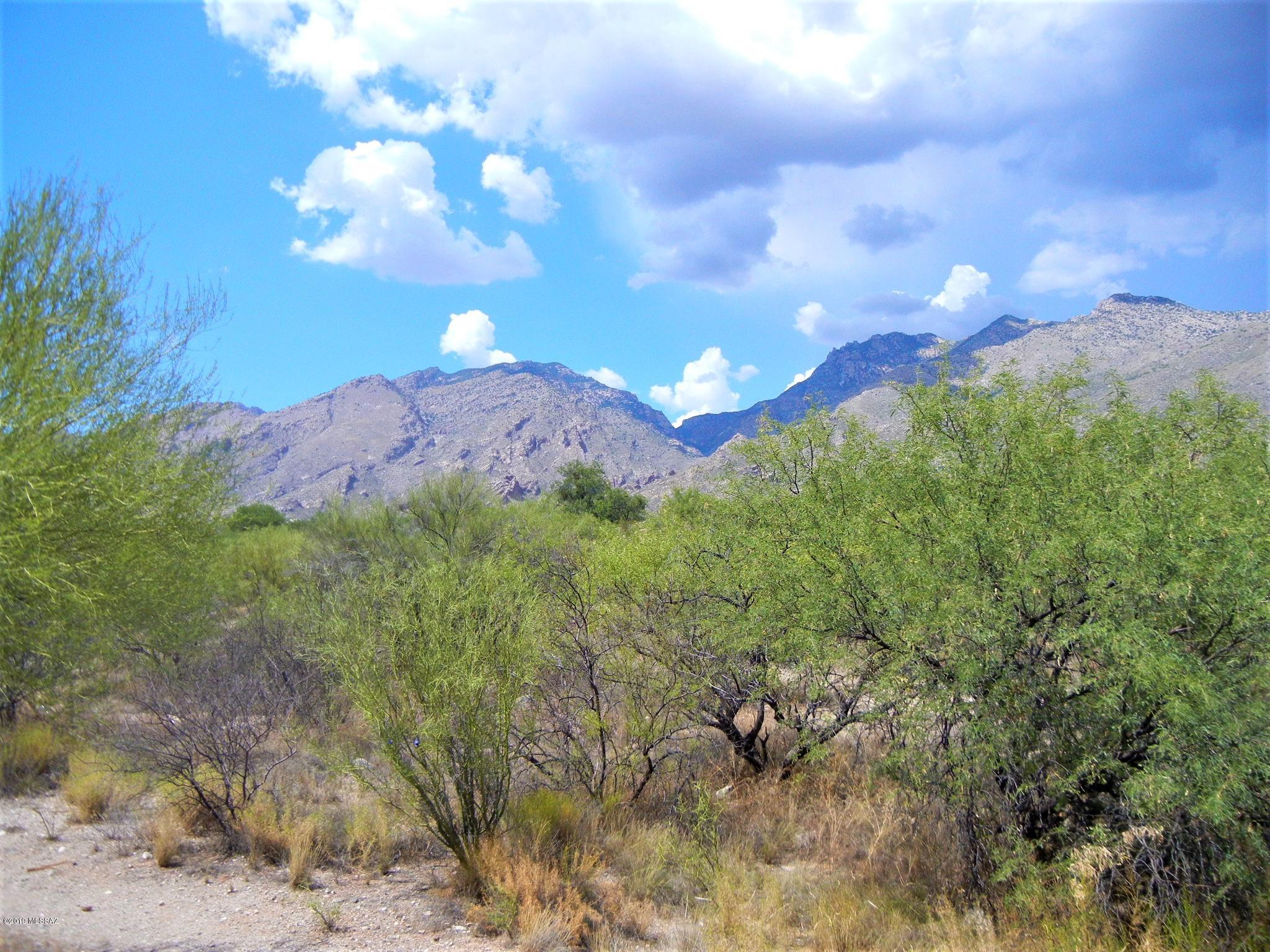 5800 North Kolb Road, Unit 8210 Tucson, AZ 85750 - Photo 19 of 24