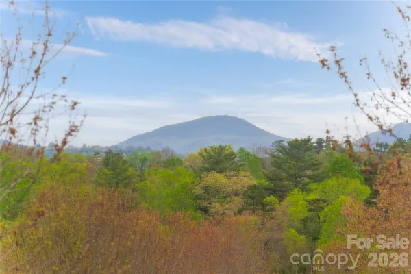 $999,000 | 16 Dearborn Street, Asheville, NC 28803