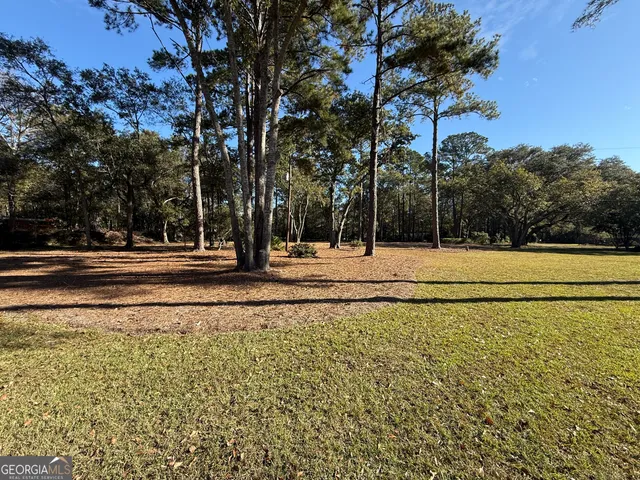 a view of a yard with large trees
