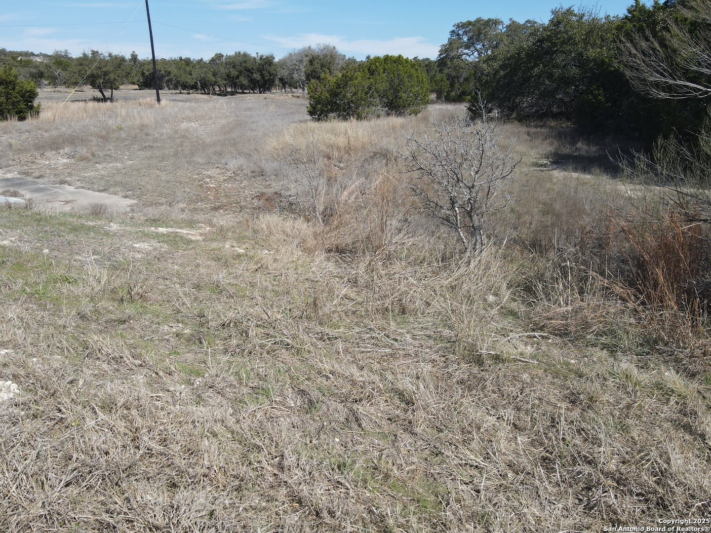 111 Dodder Lane Spring Branch, TX 78070 - Photo 5 of 16 a view of a dry yard with wooden fence