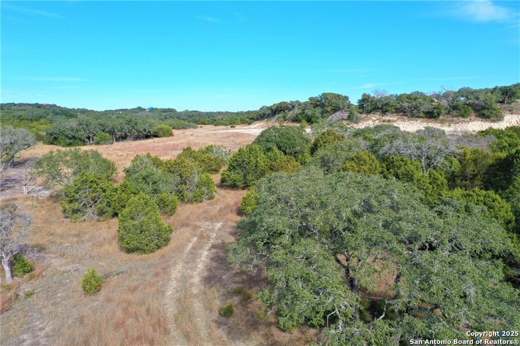 111 Dodder Lane Spring Branch, TX 78070 - Photo 7 of 16 a view of a lake with a city