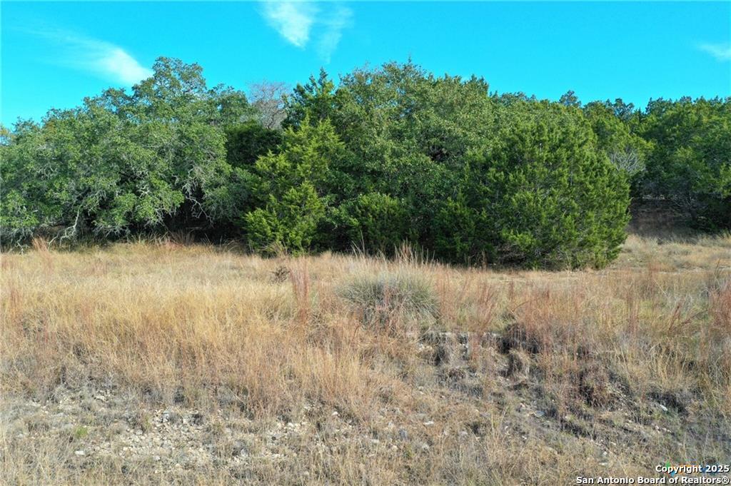 111 Dodder Lane Spring Branch, TX 78070 - Photo 9 of 16 a view of a yard