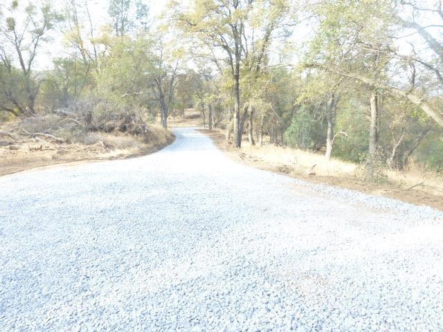 1 A Rattlesnake Bar Road Cool, CA 95614 - Photo 12 of 25 a view of a yard with snow on the road
