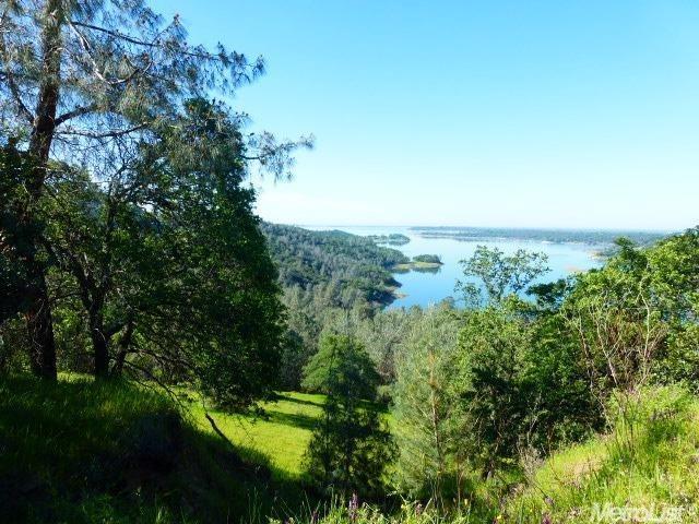 1 A Rattlesnake Bar Road Cool, CA 95614 - Photo 17 of 25 a view of outdoor space and trees all around