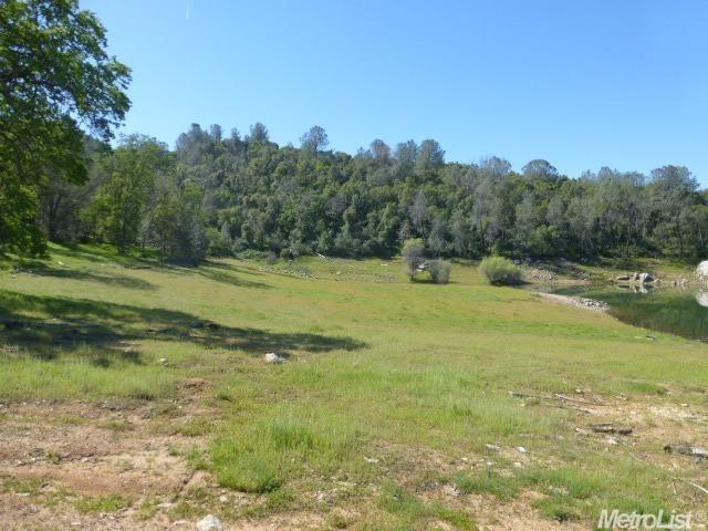 1 A Rattlesnake Bar Road Cool, CA 95614 - Photo 18 of 25 a view of a field with an trees in the background