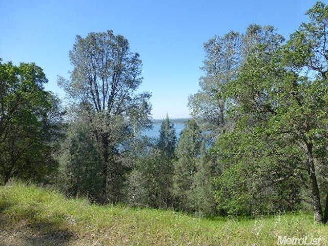 1 A Rattlesnake Bar Road Cool, CA 95614 - Photo 19 of 25 a view of a lush green forest with lots of trees