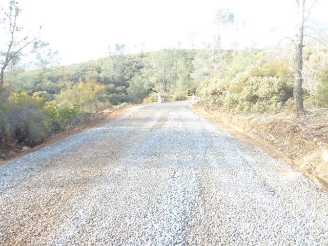 1 A Rattlesnake Bar Road Cool, CA 95614 - Photo 21 of 25 a view of a yard with trees in the background