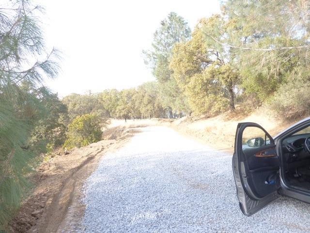 1 A Rattlesnake Bar Road Cool, CA 95614 - Photo 22 of 25 a view of a yard with large trees