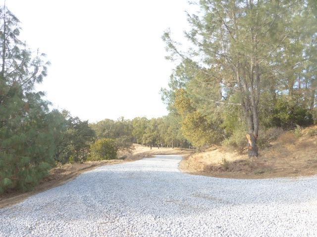 1 A Rattlesnake Bar Road Cool, CA 95614 - Photo 23 of 25 a view of a yard with a tree