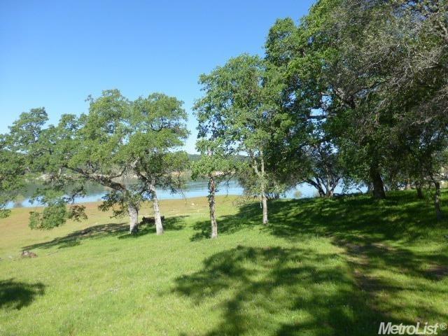 1 A Rattlesnake Bar Road Cool, CA 95614 - Photo 5 of 25 a view of green field with trees