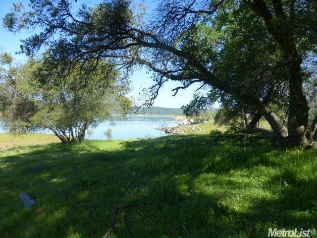 1 A Rattlesnake Bar Road Cool, CA 95614 - Photo 6 of 25 a view of a yard with large trees