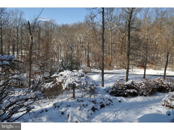 1679 Slitting Mill Road Glen Mills, PA 19342 - Photo 2 of 11 View from Front Door
