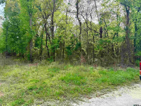 $53,600 | 4131 Mt Vernon Tx 75457, Mount Vernon, TX 75457