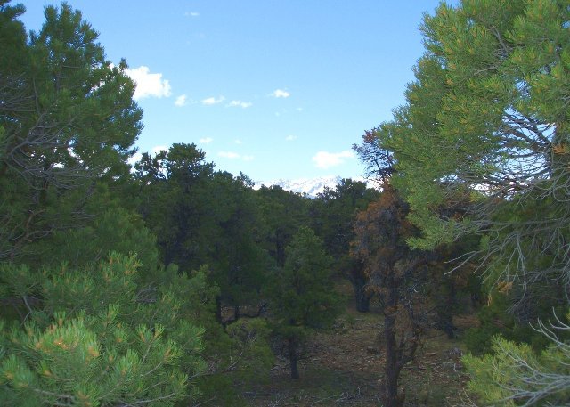 Tbd Tower Place Ridgway, CO 81432 - Photo 1 of 6 Primary Photo