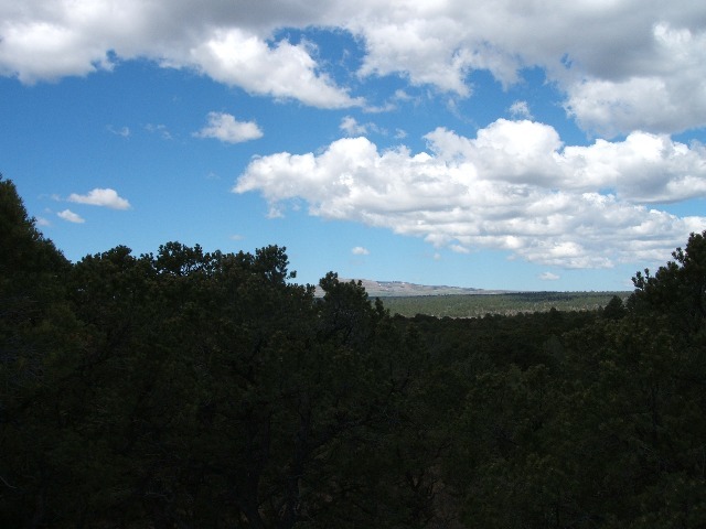 Tbd Tower Place Ridgway, CO 81432 - Photo 5 of 6 Additional Photo