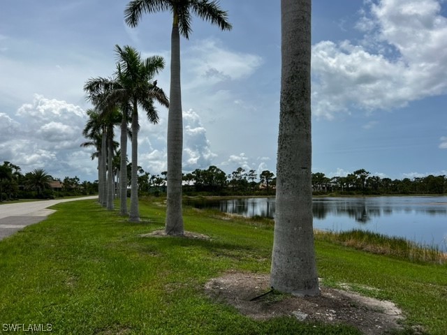 a lake view with a yard and palm trees