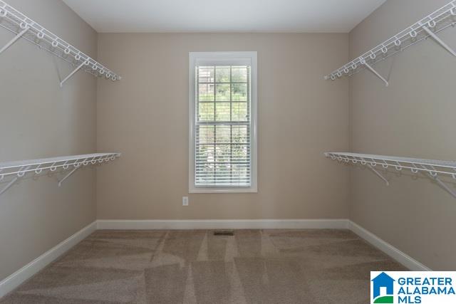 245 Willow Road Lincoln, AL 35096 - Photo 23 of 50