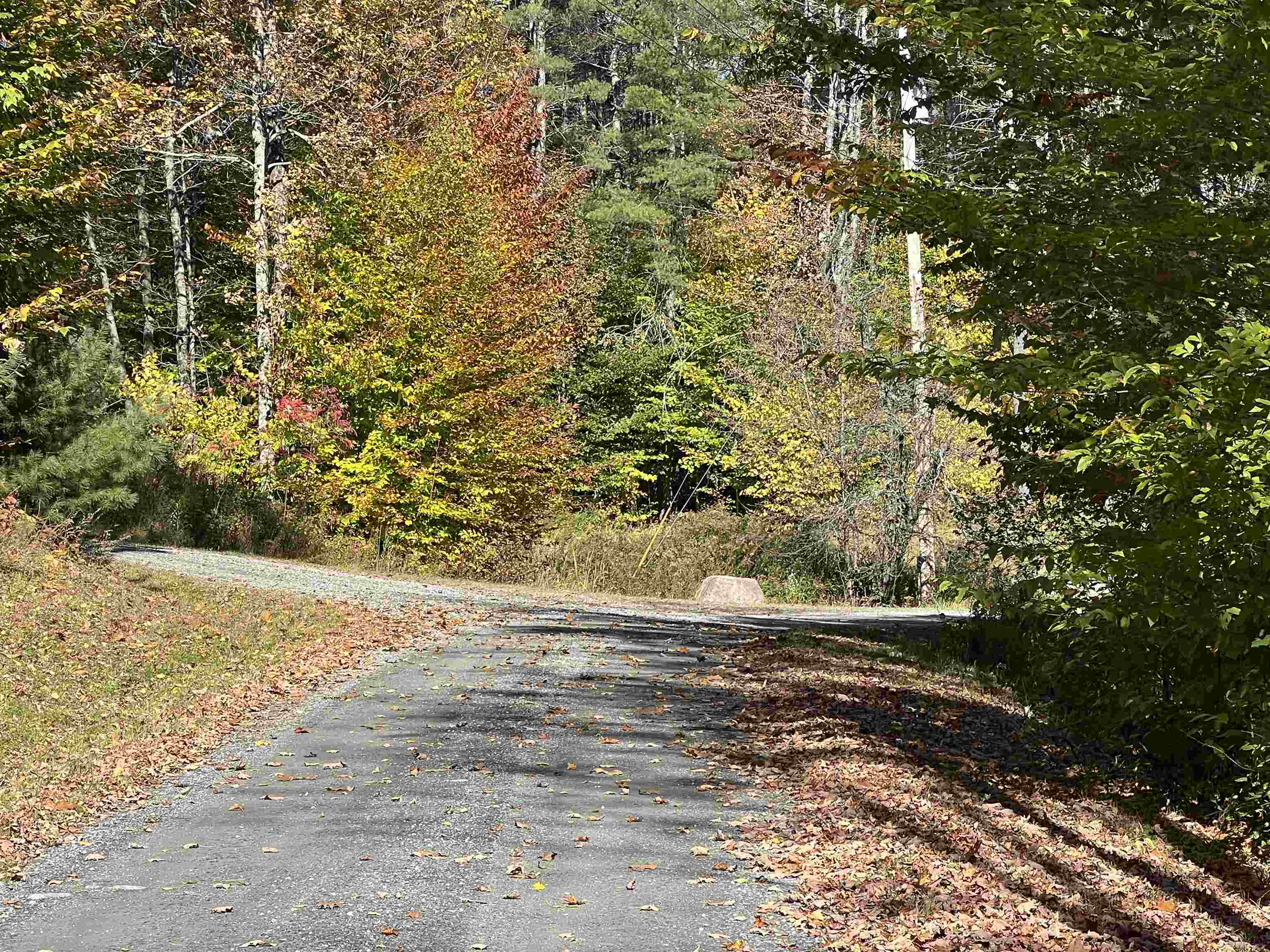 133 Stagecoach Road Norwich, VT 05055 - Photo 23 of 24