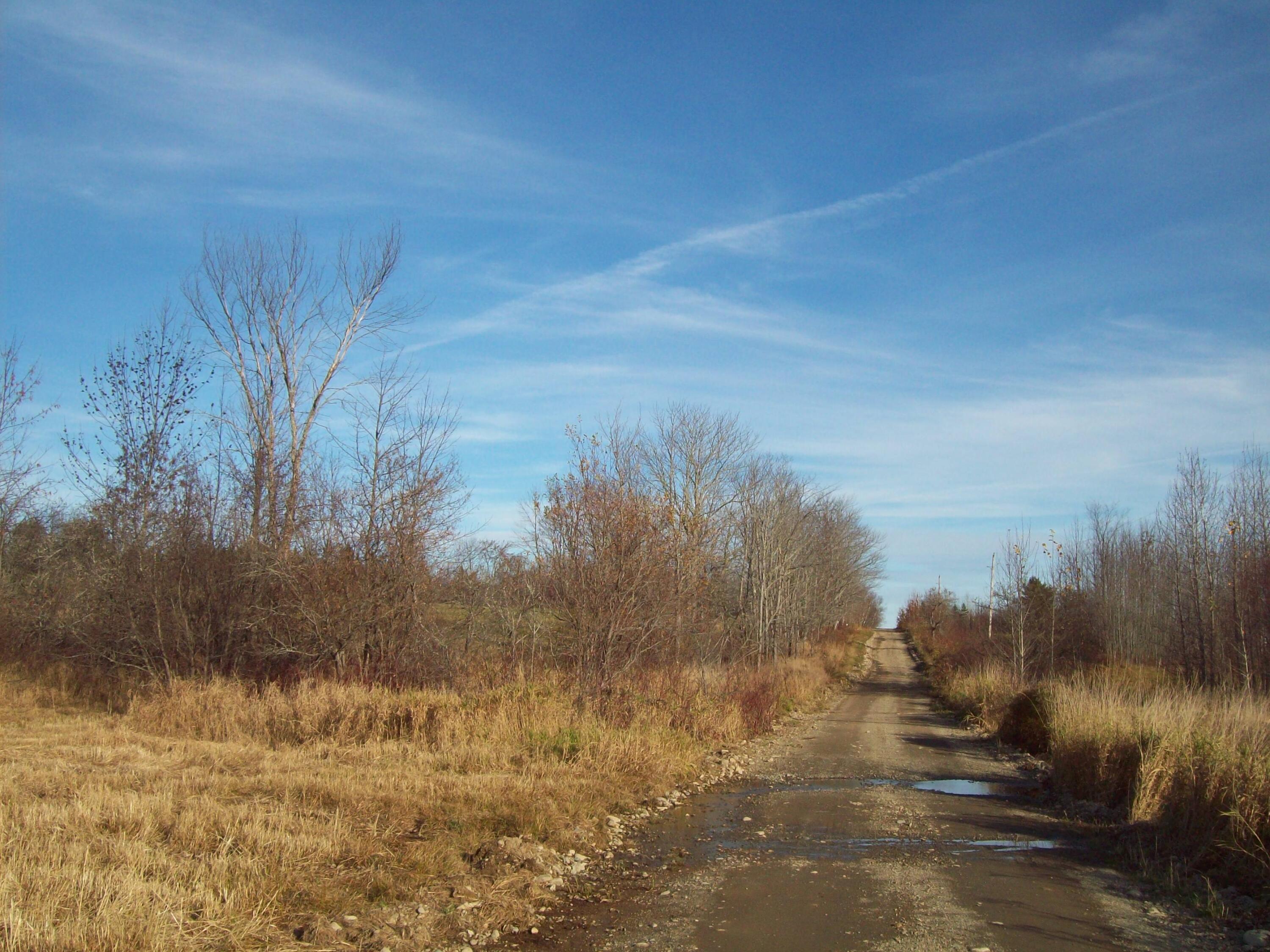 Tbd Winding Hill Road Patten, ME 04765 - Photo 16 of 16 100_3222