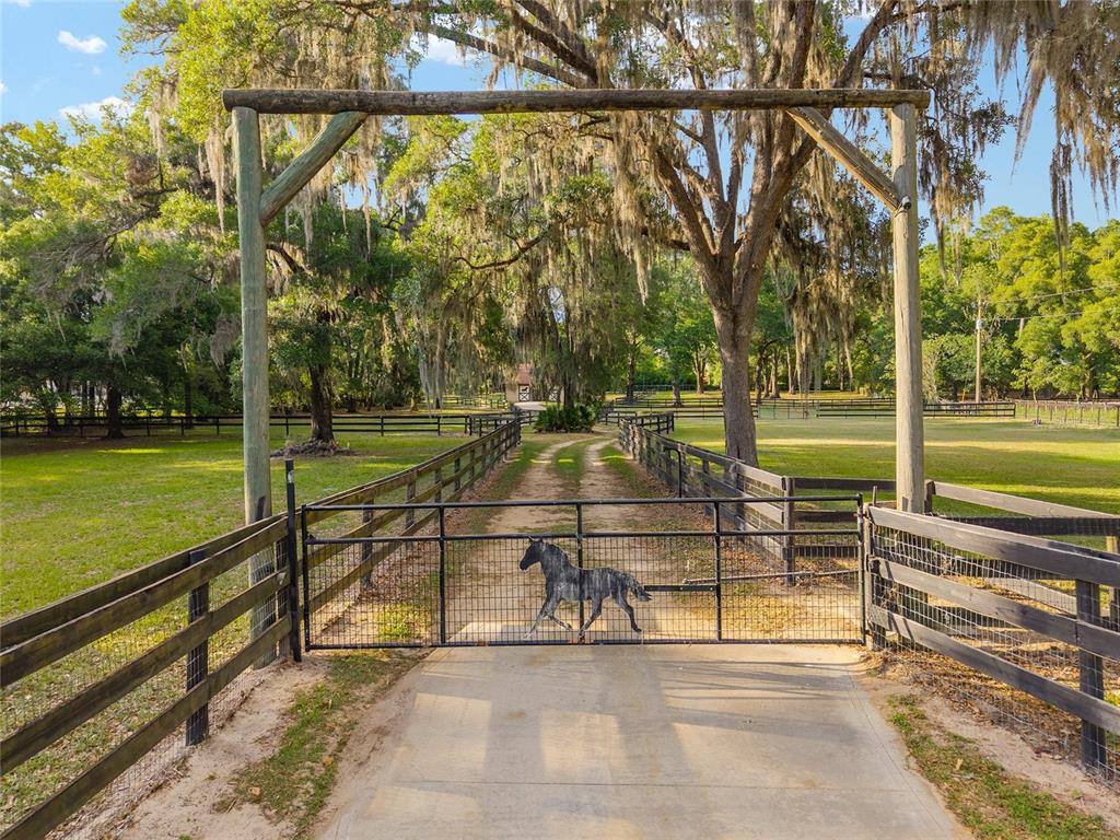 8117 Southwest 41st Place Road Ocala, FL 34481 - Photo 3 of 55