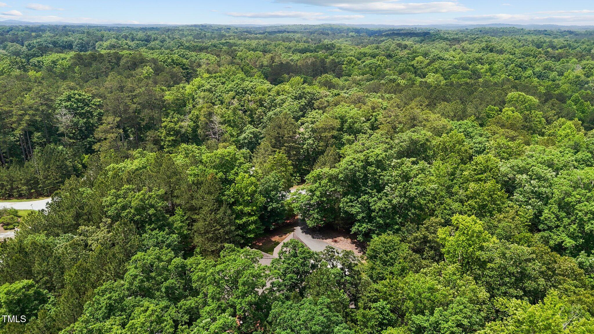 4306 Infinity Lane Durham, NC 27705 - Photo 59 of 61 65-web-or-mls-DJI_20250515123624_0819_D