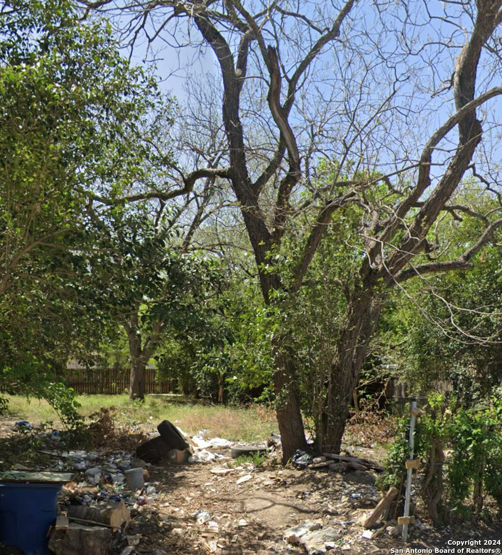 a view of a yard with plants and trees