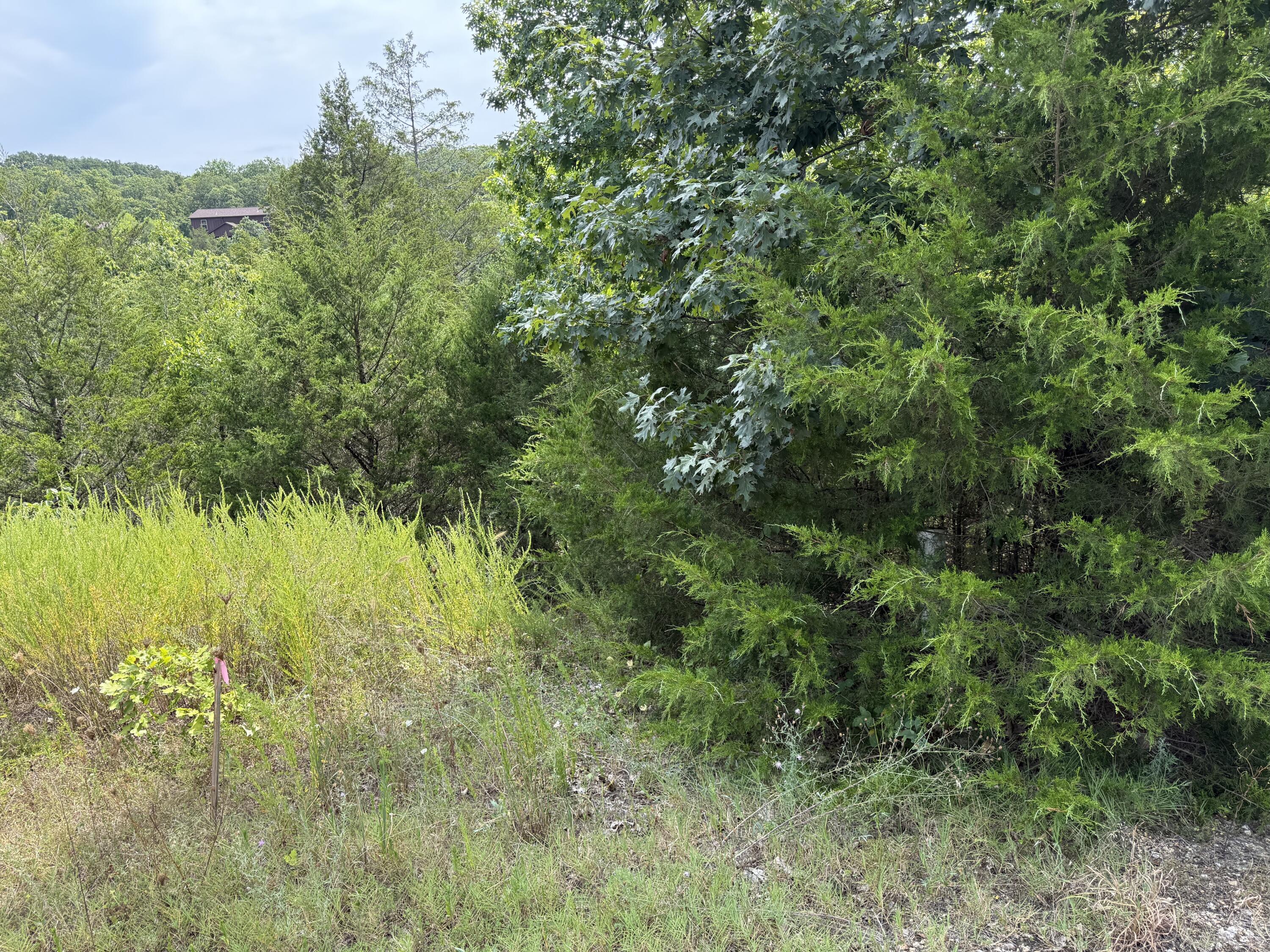 224 Blue Lake Trail Reeds Spring, MO 65737 - Photo 5 of 16 Photo Jul 28 2026, 11 51 08 AM