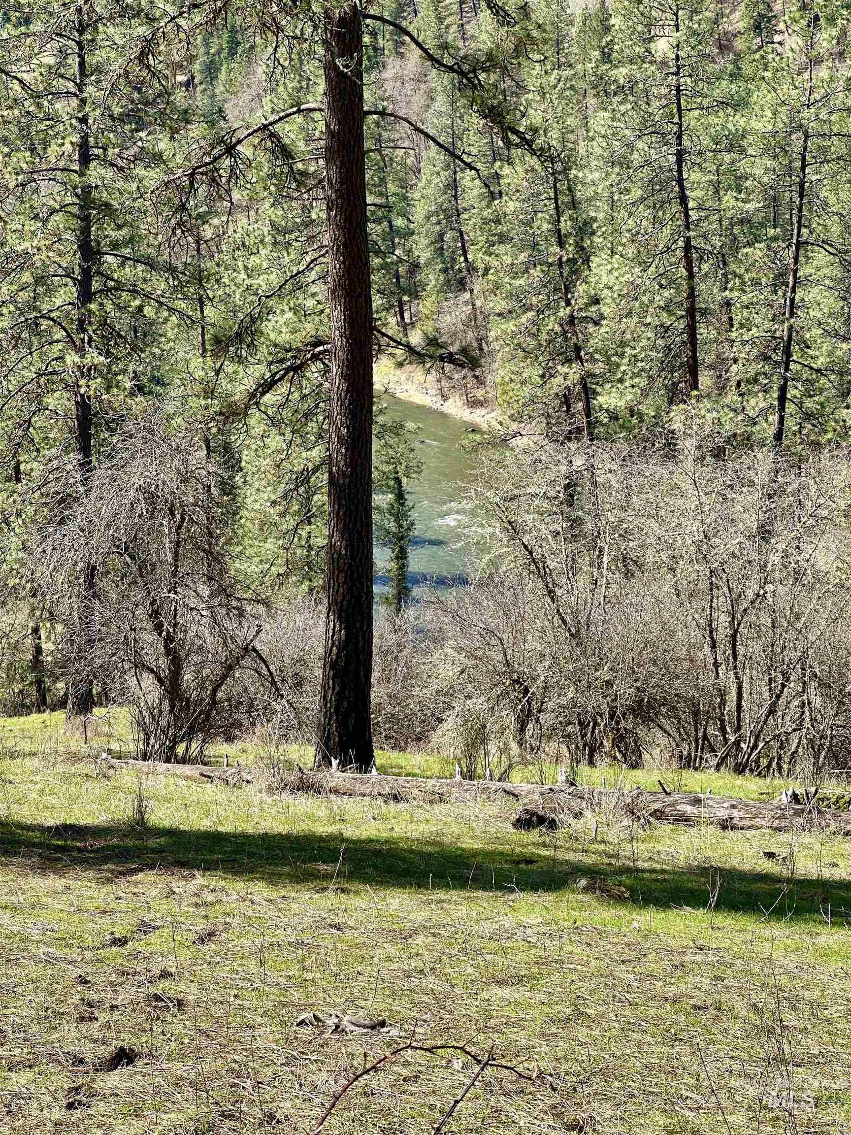 121 Ferguson Road Stites, ID 83552 - Photo 11 of 22