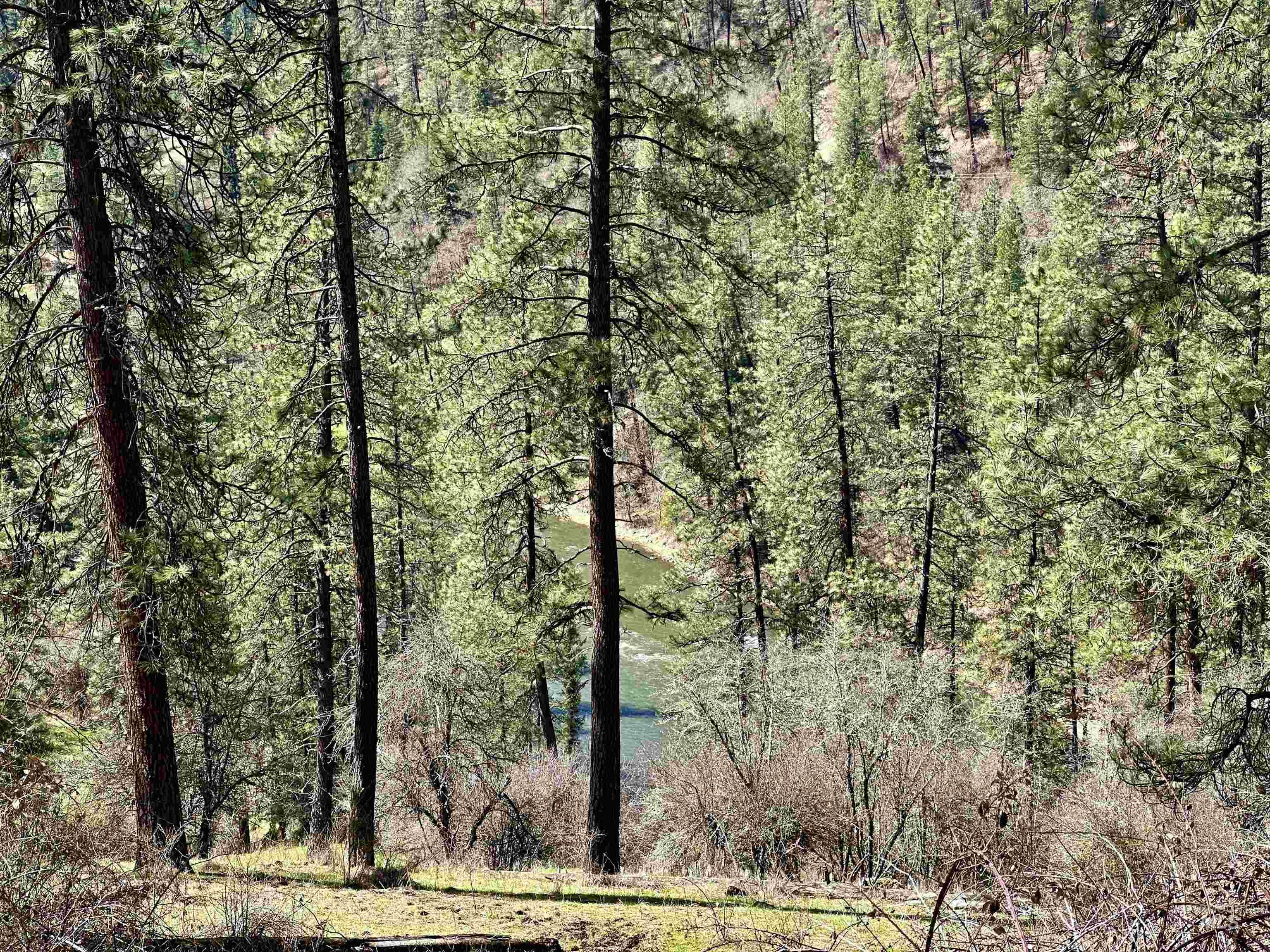 121 Ferguson Road Stites, ID 83552 - Photo 12 of 22