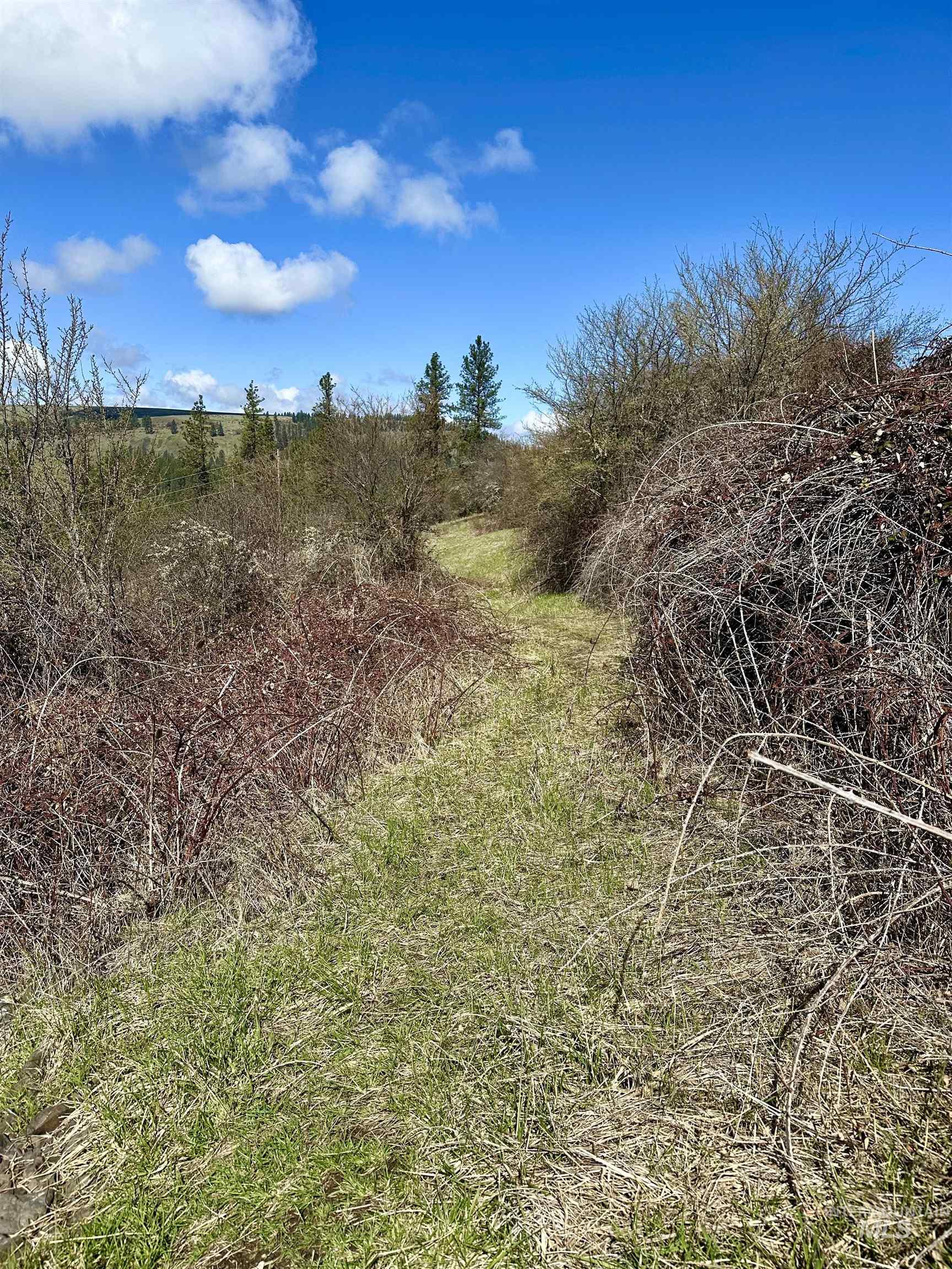 121 Ferguson Road Stites, ID 83552 - Photo 17 of 22