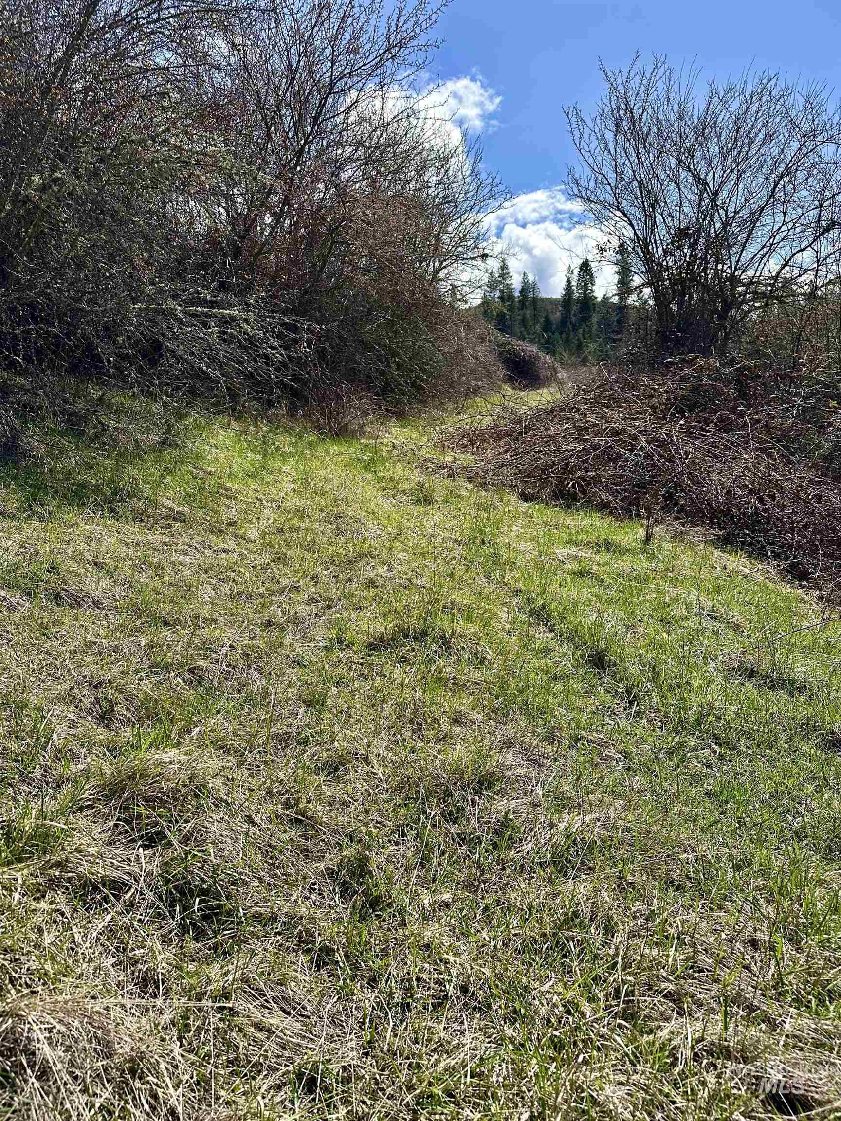 121 Ferguson Road Stites, ID 83552 - Photo 18 of 22