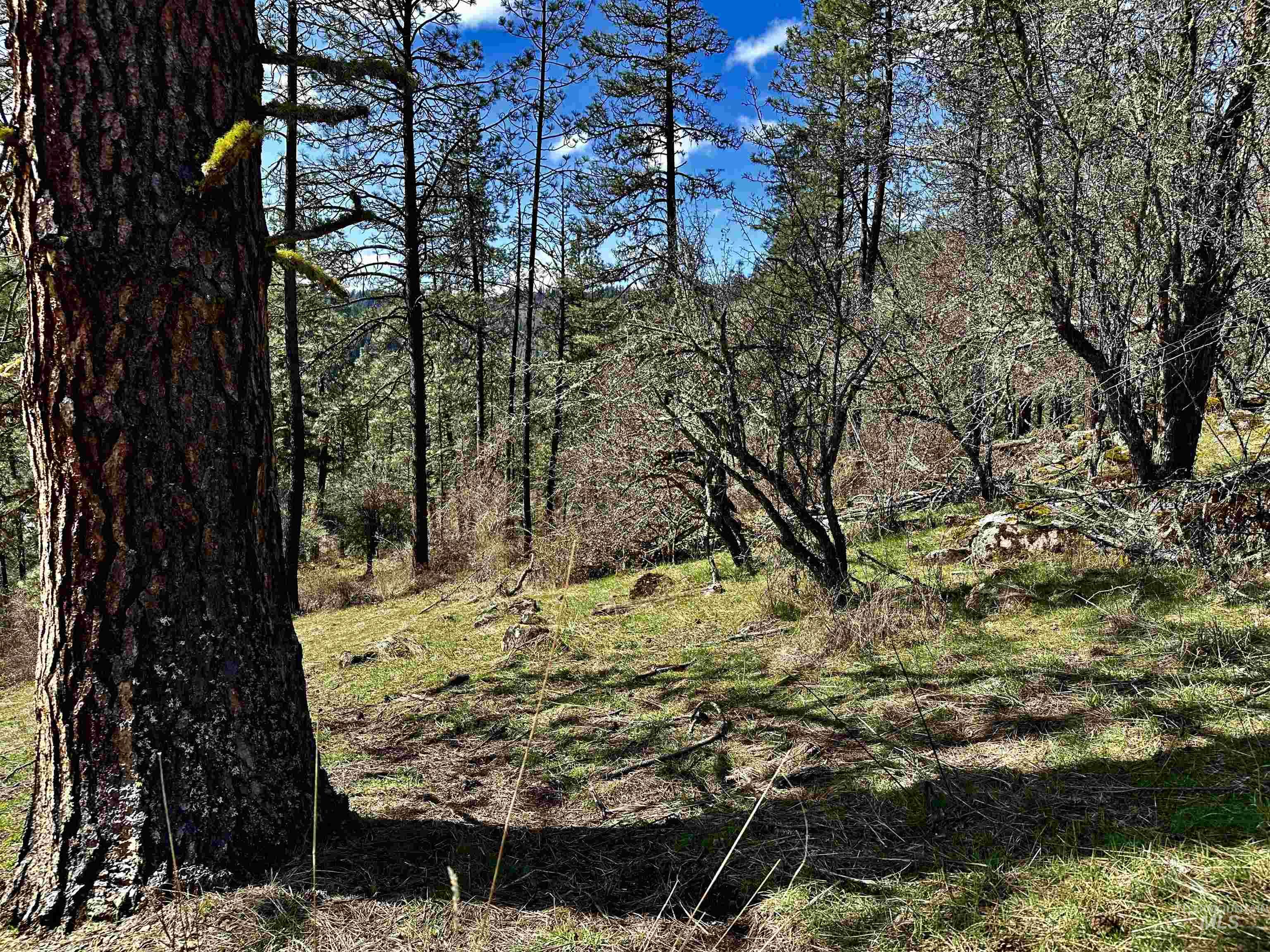 121 Ferguson Road Stites, ID 83552 - Photo 8 of 22