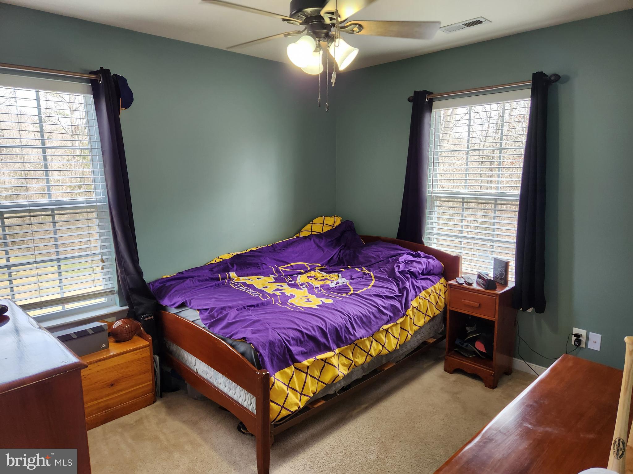 2018 Evergreen Road Louisa, VA 23093 - Photo 23 of 34 Bedroom 2 (10x12)