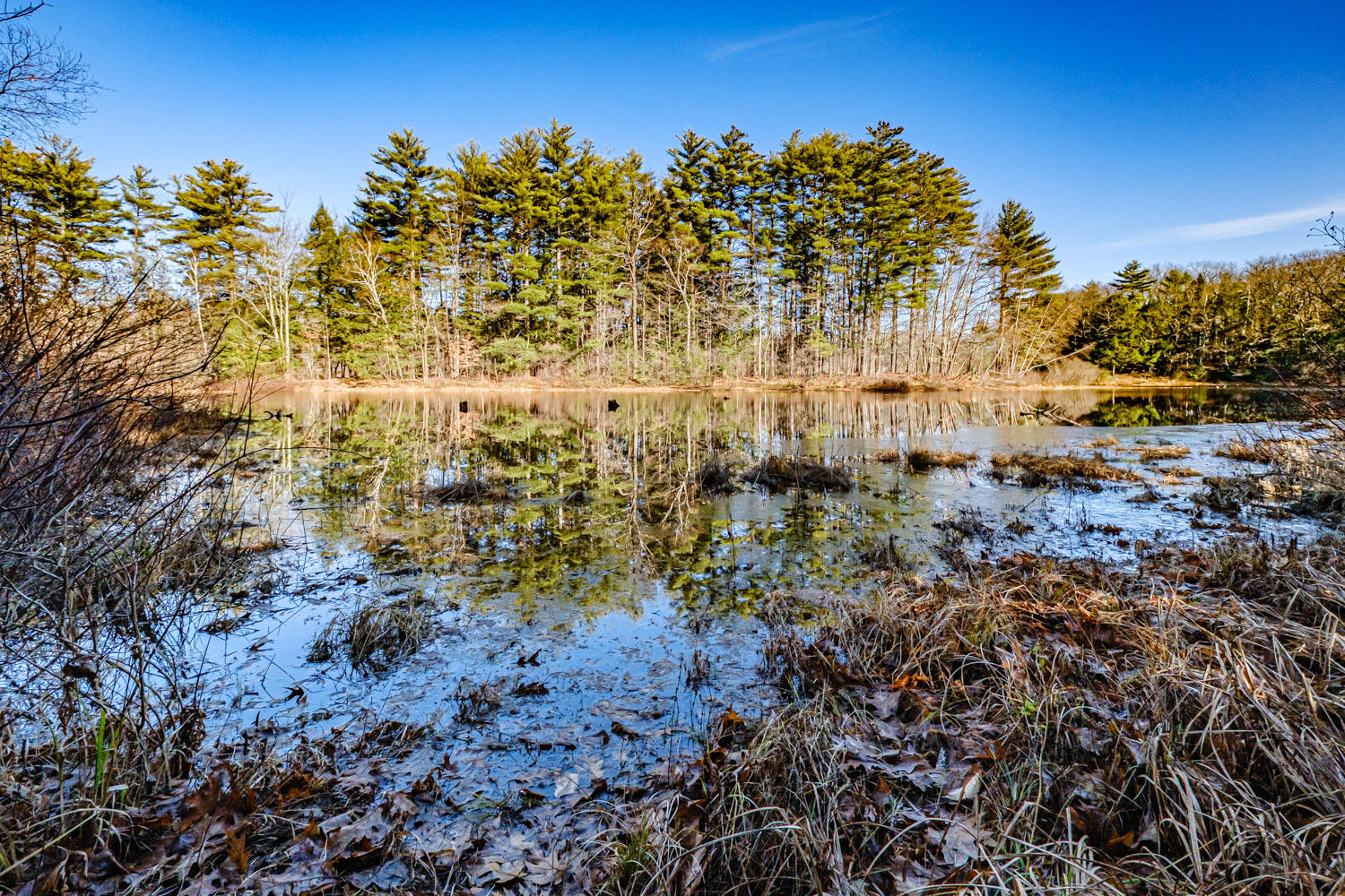 11 Marginal Way Springvale, ME 04083 - Photo 40 of 40 Stump Pond