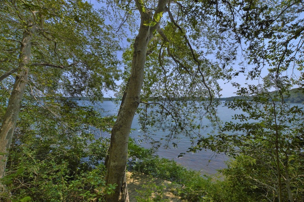 230 Pimlico Pond Road Mashpee, MA 02649 - Photo 32 of 35 a backyard of a house with lots of green space