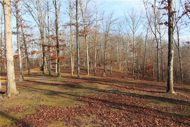 217 Amanda Road Dover, TN 37058 - Photo 3 of 20 Great place to live or nice weekend getaway. Just minutes to Kentucky Lake, LBL and Barkley Lake.