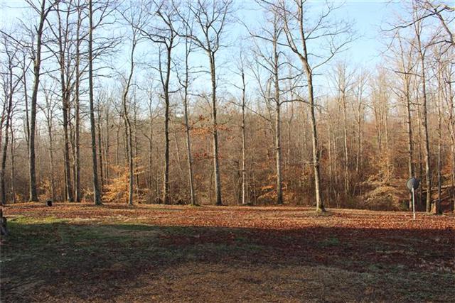 217 Amanda Road Dover, TN 37058 - Photo 5 of 20 Nice view.