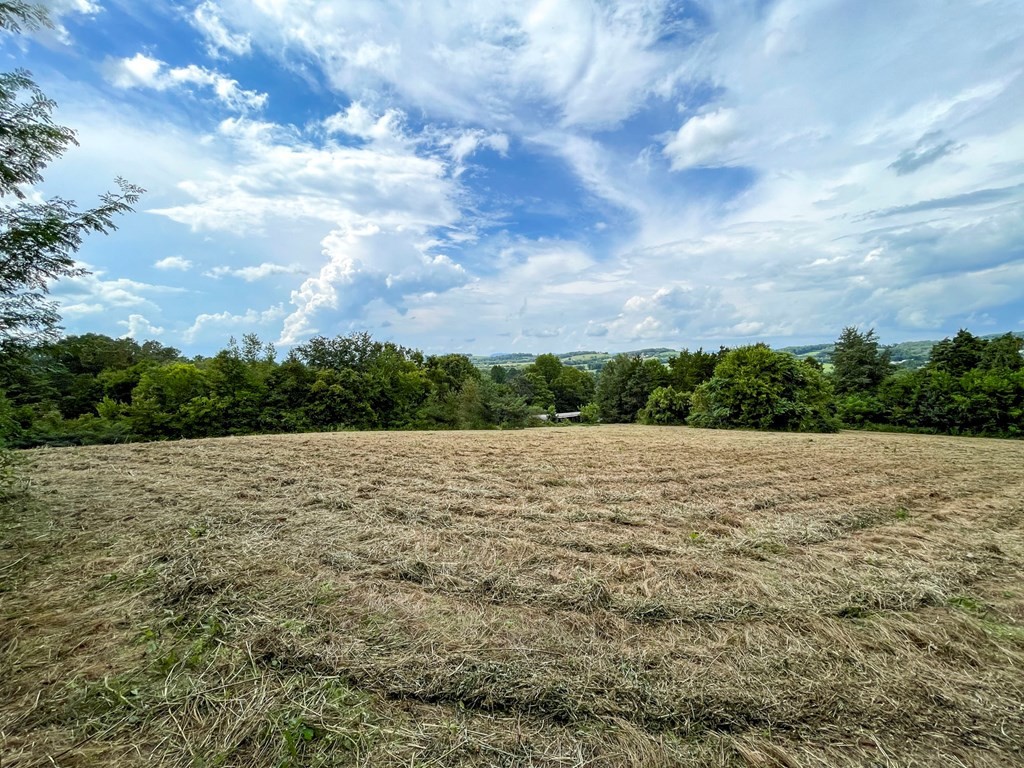 844846 Bales Road New Market, TN 37820 - Photo 2 of 36 Gallery Image 2