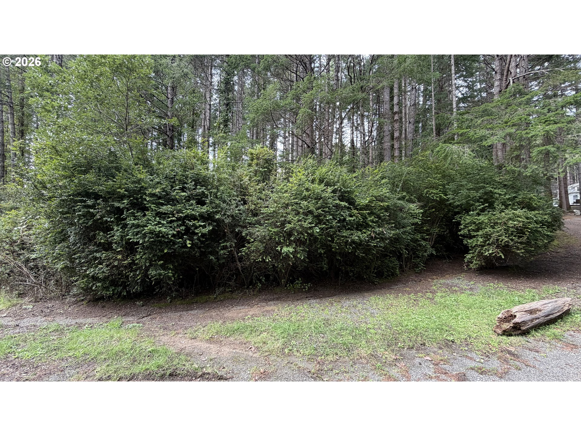 Orchard Road, Unit 2 Port Orford, OR 97465 - Photo 3 of 7