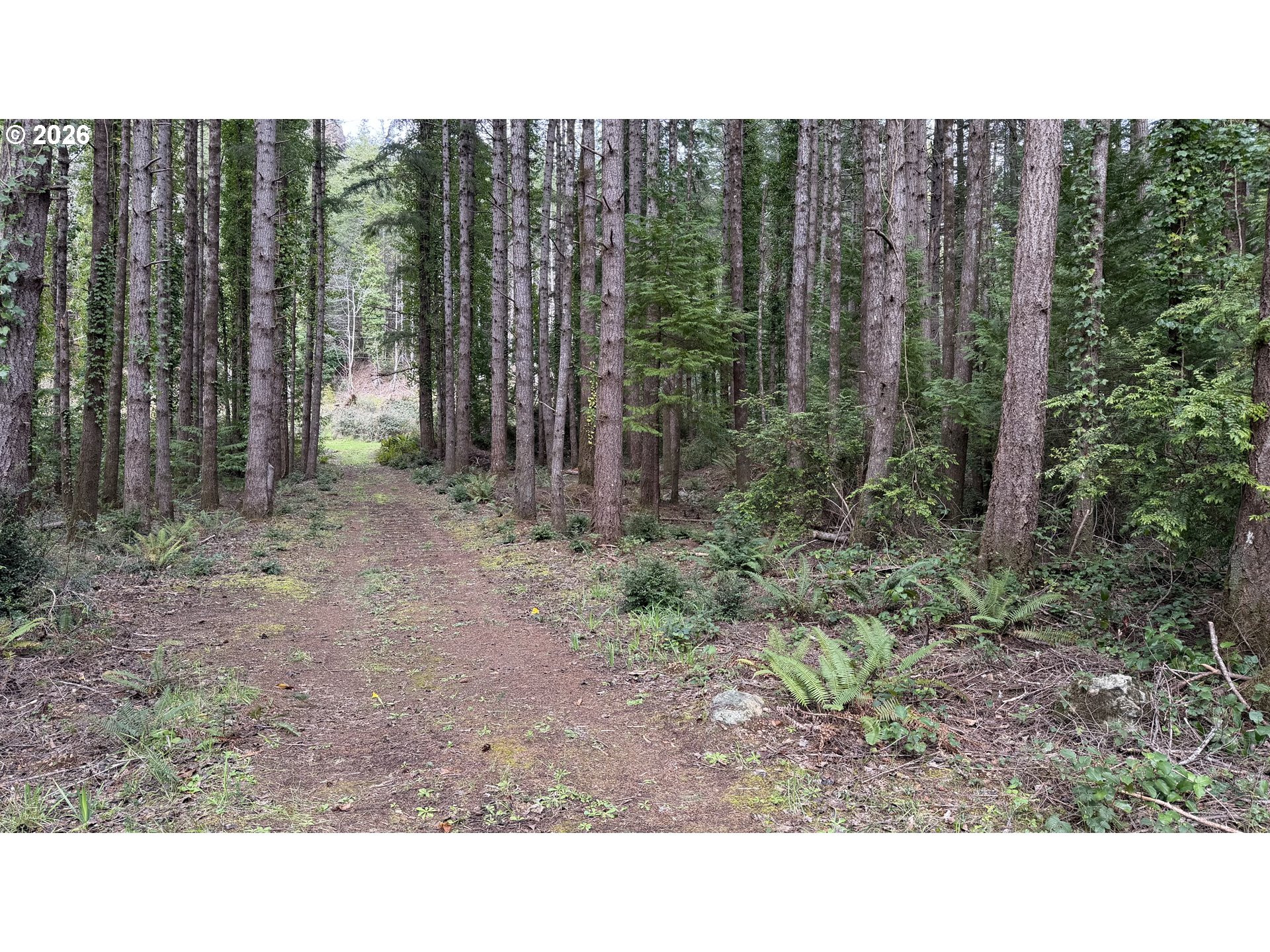 Orchard Road, Unit 2 Port Orford, OR 97465 - Photo 4 of 7