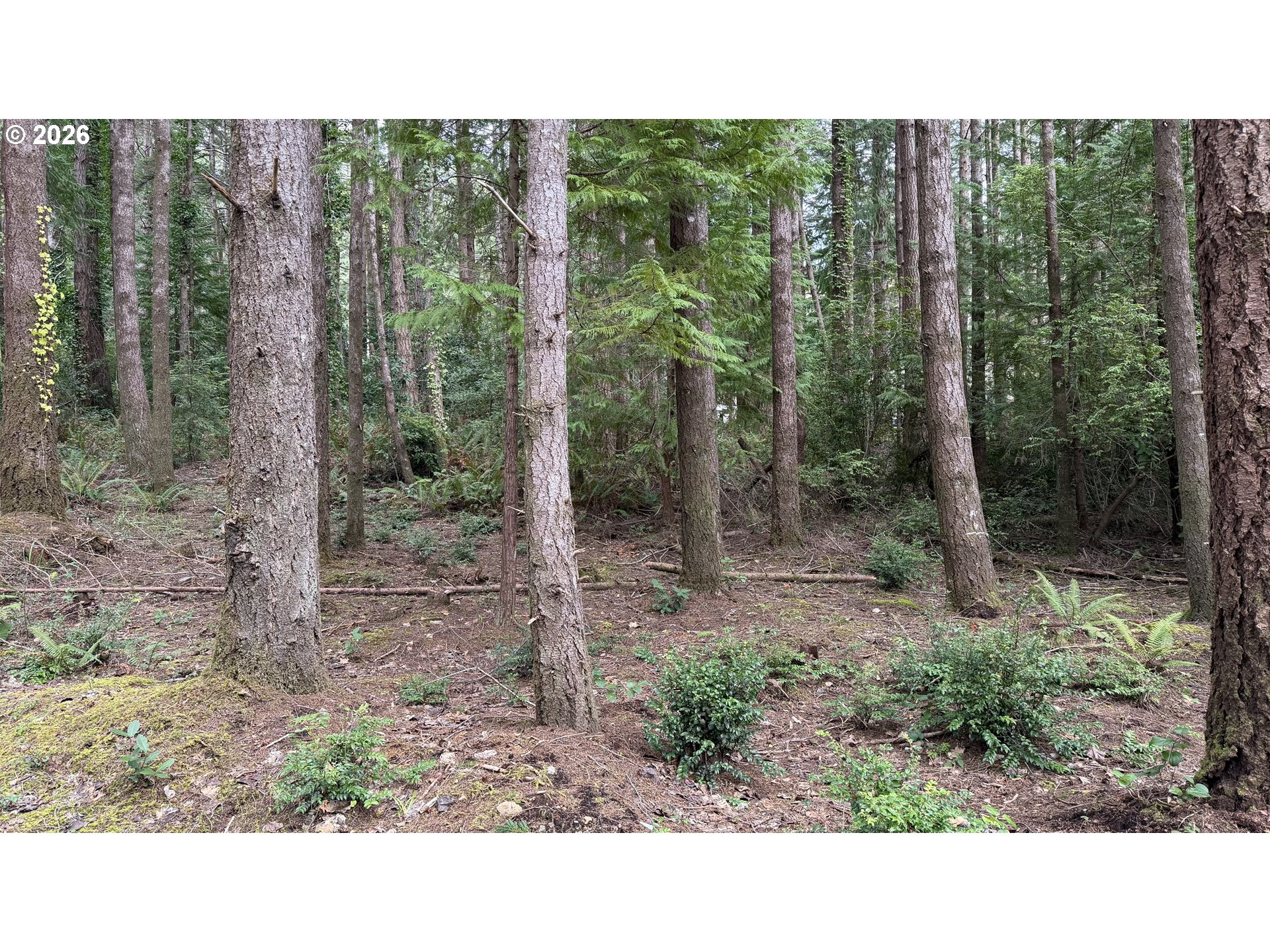 Orchard Road, Unit 2 Port Orford, OR 97465 - Photo 5 of 7