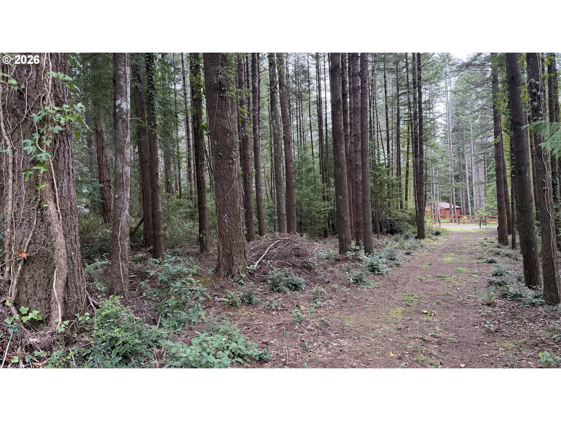 Orchard Road, Unit 2 Port Orford, OR 97465 - Photo 6 of 7