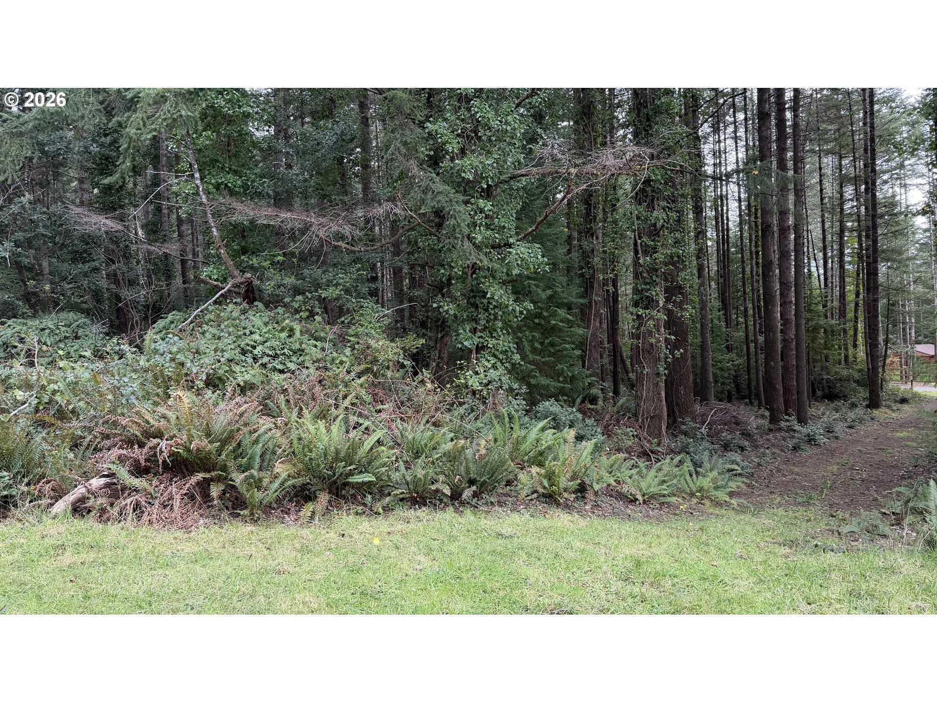 Orchard Road, Unit 2 Port Orford, OR 97465 - Photo 7 of 7