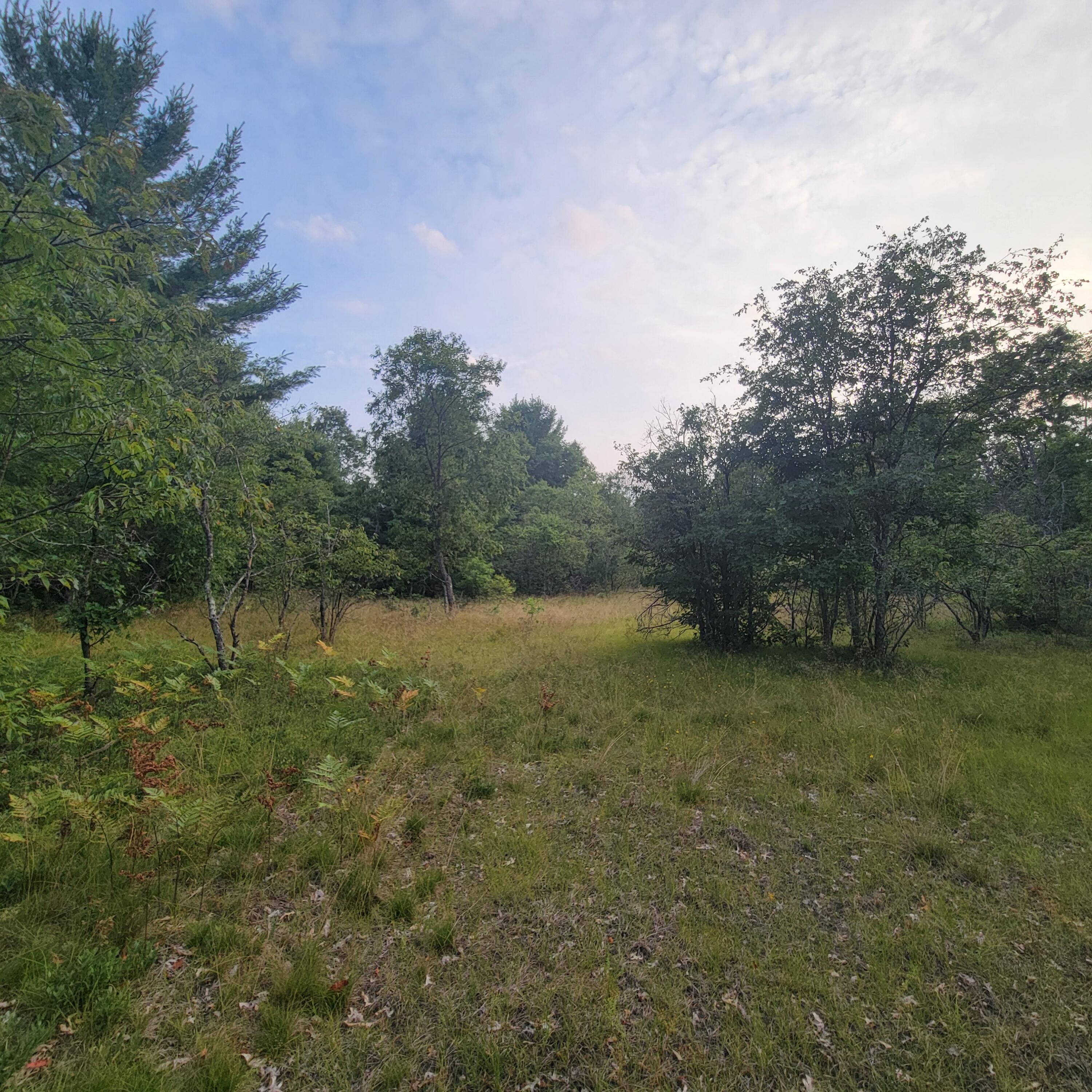 V/l Chalker Road Wellston, MI 49689 - Photo 8 of 10 1000014109