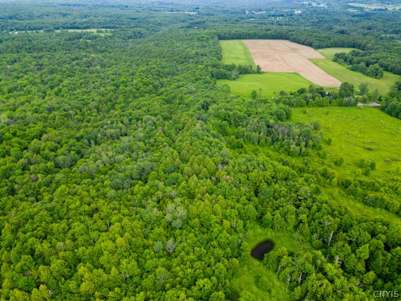 8031 Benson Road Floyd, NY 13354 - Photo 15 of 33