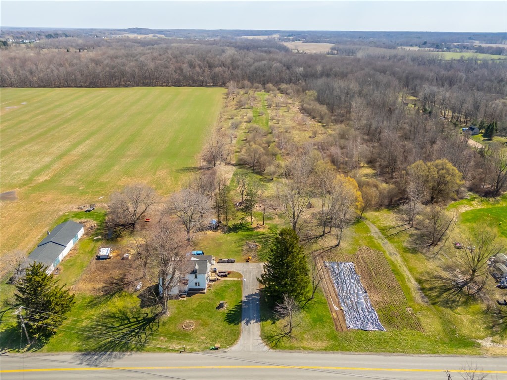 3859 Gaines Basin Road Albion, NY 14411 - Photo 41 of 50