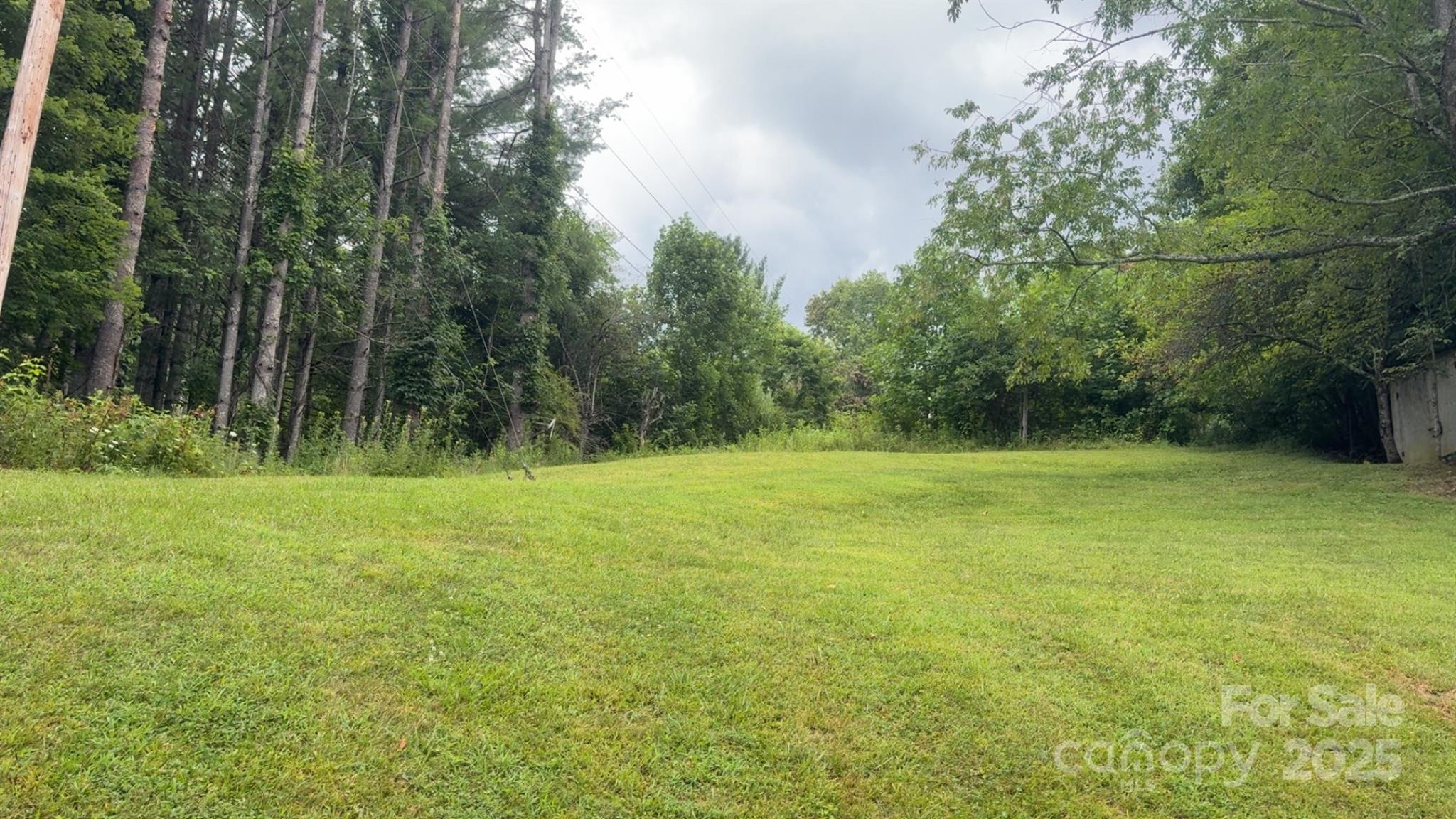 456 Duck Branch Road Bakersville, NC 28705 - Photo 5 of 19 a view of outdoor space with deck and yard