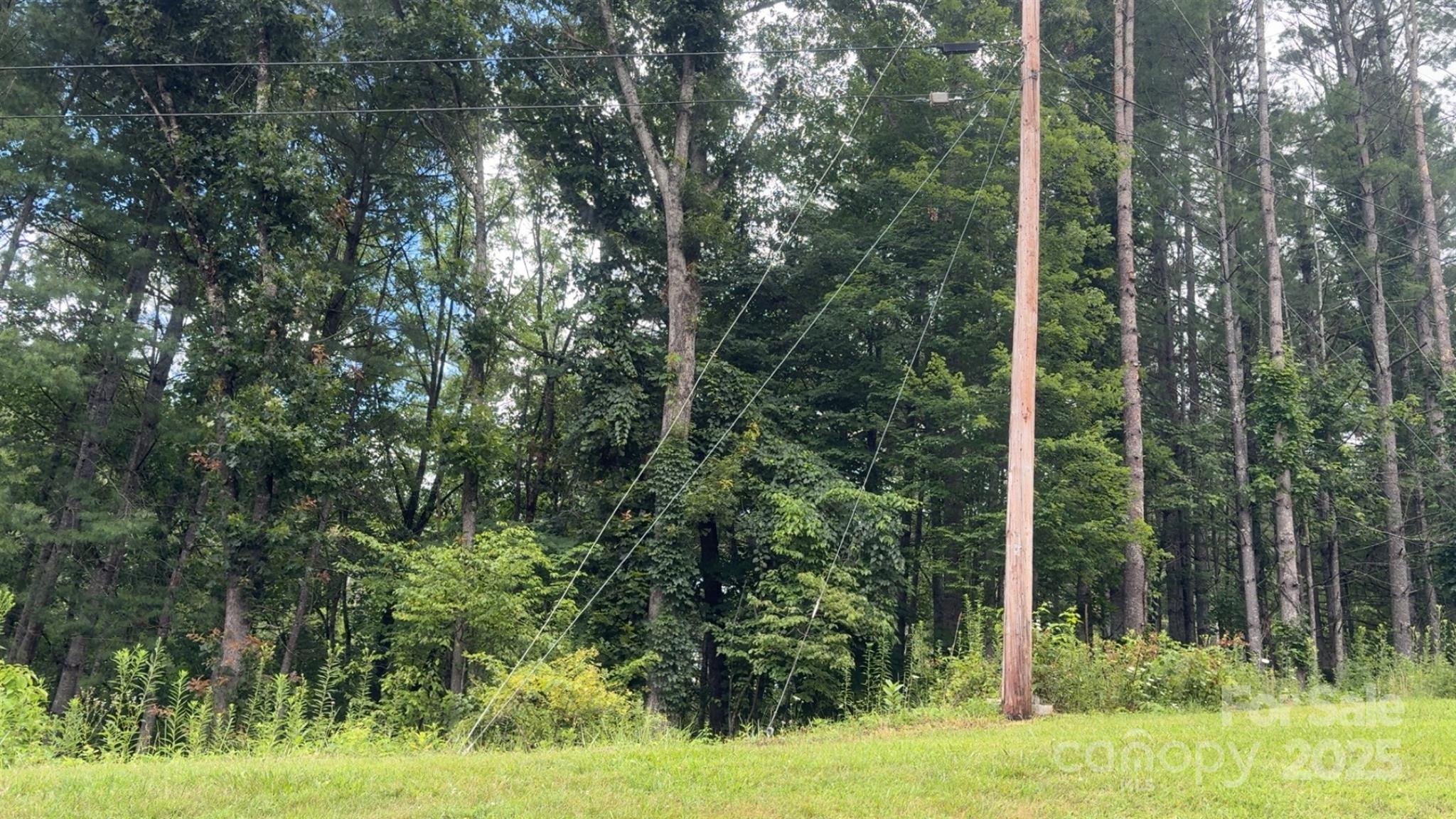 456 Duck Branch Road Bakersville, NC 28705 - Photo 6 of 19 a view of outdoor space and yard