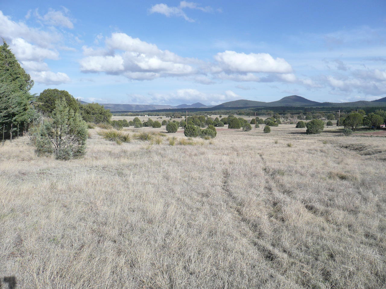 478 Rolling Hills Road Young, AZ 85554 - Photo 9 of 20